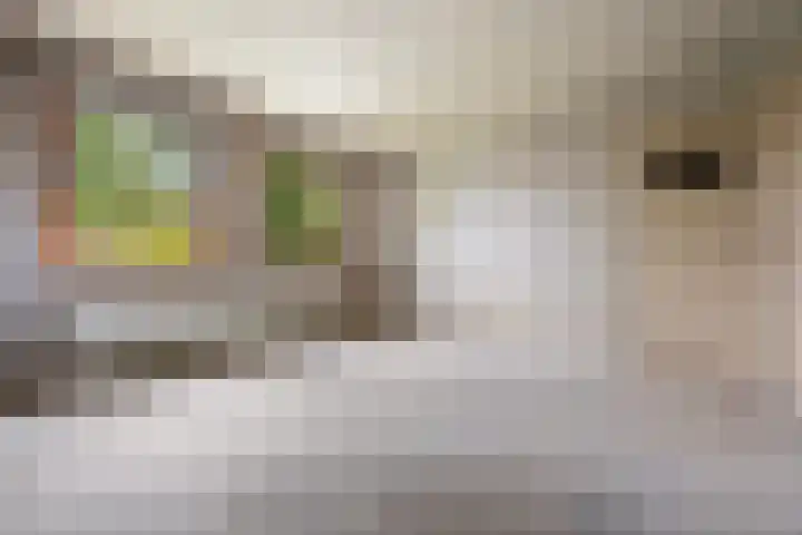 van Peltlaan 250 Nijmegen thumbnail 22