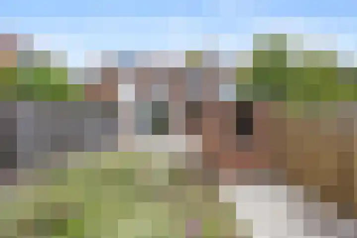 van Peltlaan 250 Nijmegen thumbnail 27