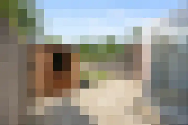 van Peltlaan 250 Nijmegen thumbnail 28