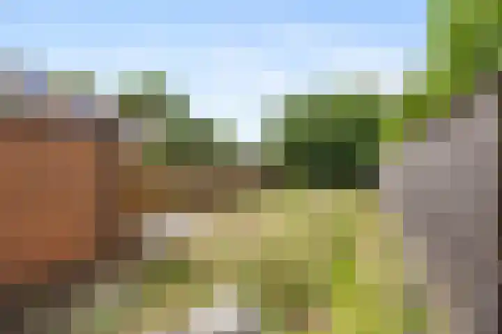 van Peltlaan 250 Nijmegen thumbnail 31