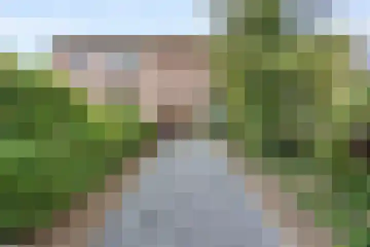 van Peltlaan 250 Nijmegen thumbnail 32