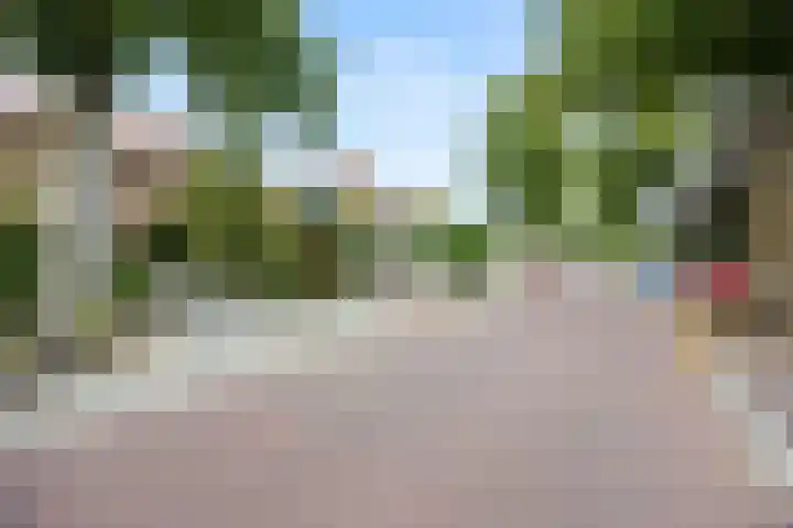 van Peltlaan 250 Nijmegen thumbnail 33