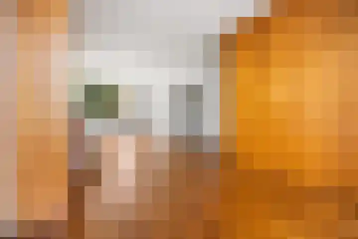 van Peltlaan 250 Nijmegen thumbnail 4