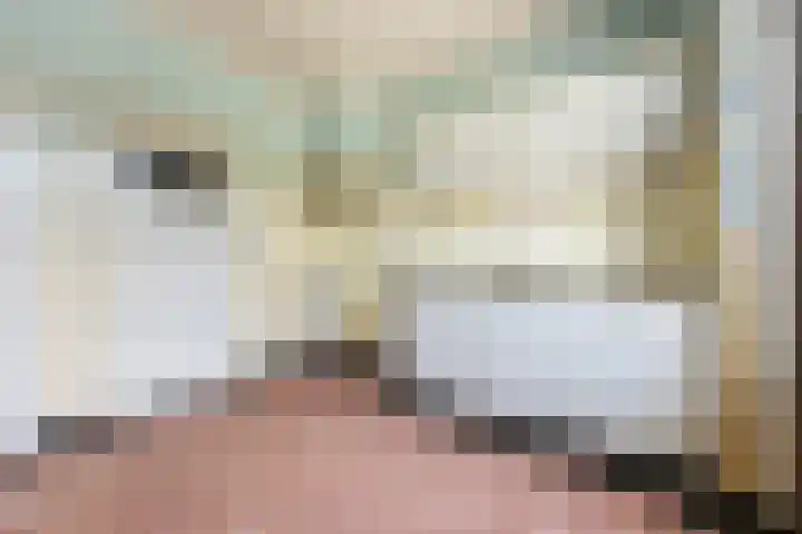 van Peltlaan 250 Nijmegen thumbnail 8