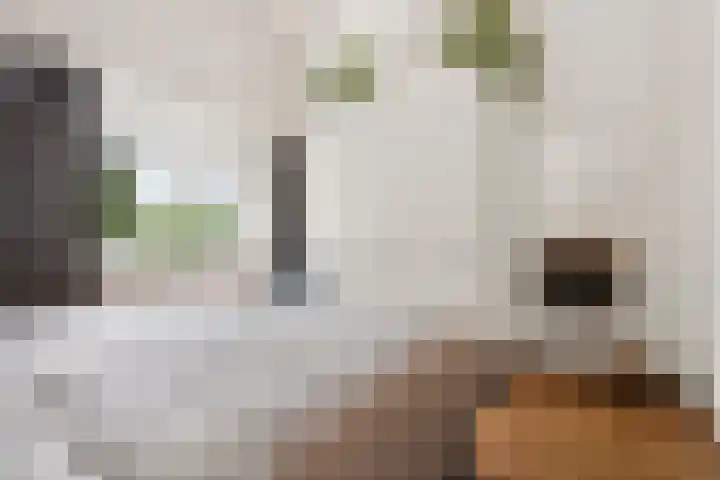 van Peltlaan 270 Nijmegen thumbnail 30