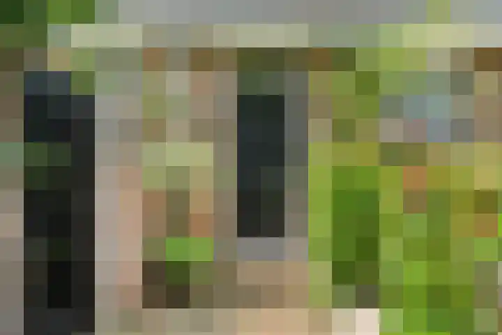van Peltlaan 270 Nijmegen thumbnail 4
