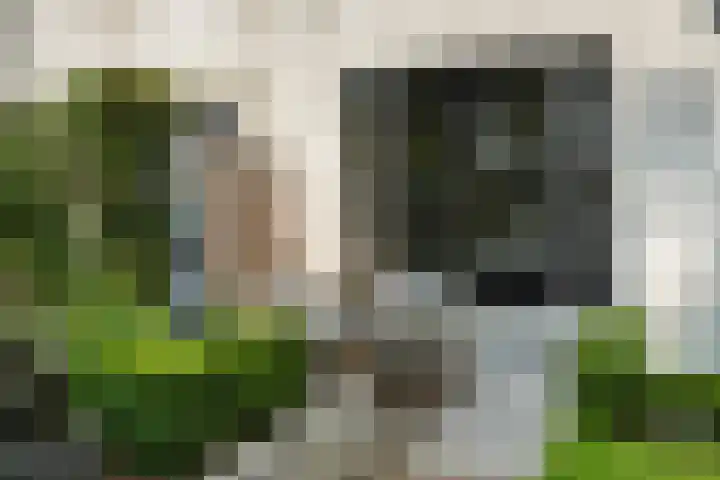 van Peltlaan 270 Nijmegen thumbnail 48