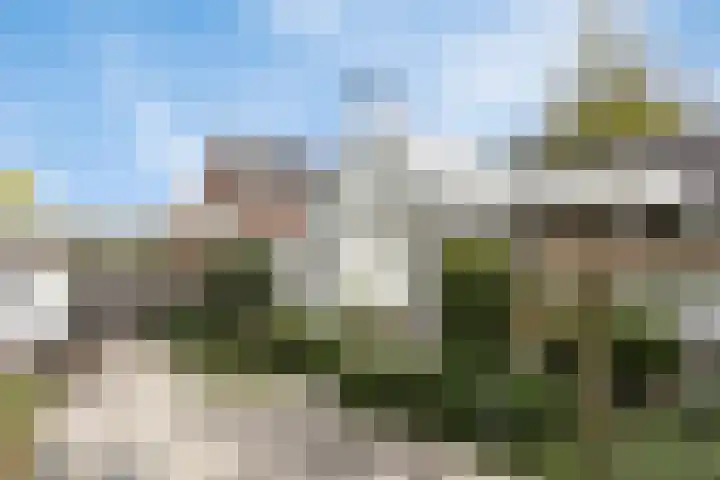 van Peltlaan 290 Nijmegen thumbnail 4