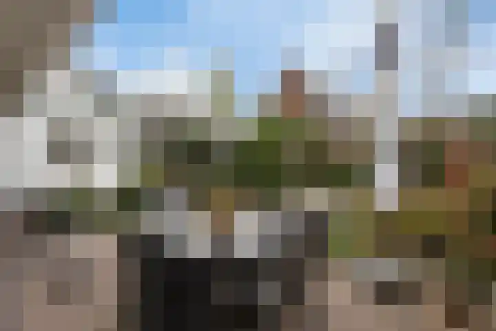 van Peltlaan 290 Nijmegen thumbnail 47