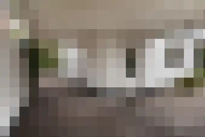 van Peltlaan 290 Nijmegen thumbnail 51
