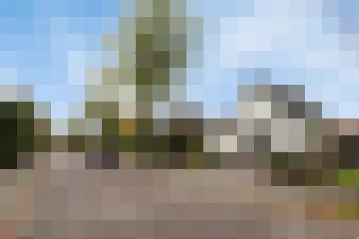 van Peltlaan 290 Nijmegen thumbnail 61