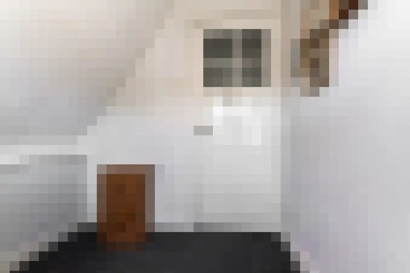 van Peltlaan 37 Nijmegen thumbnail 41