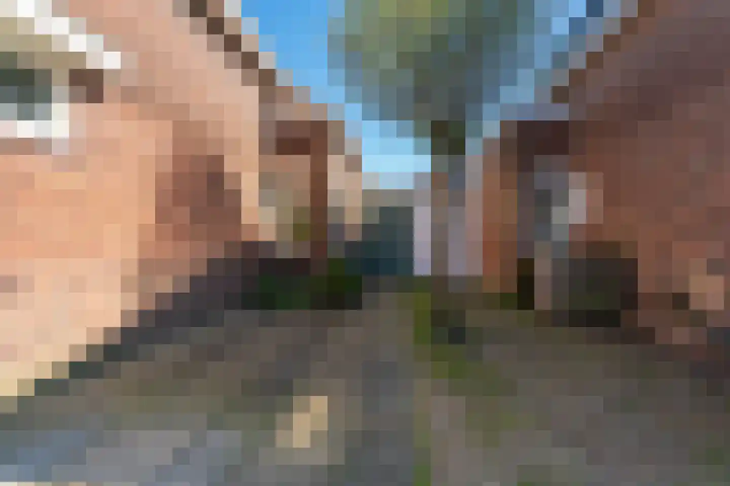 van Peltlaan 37 Nijmegen thumbnail 5