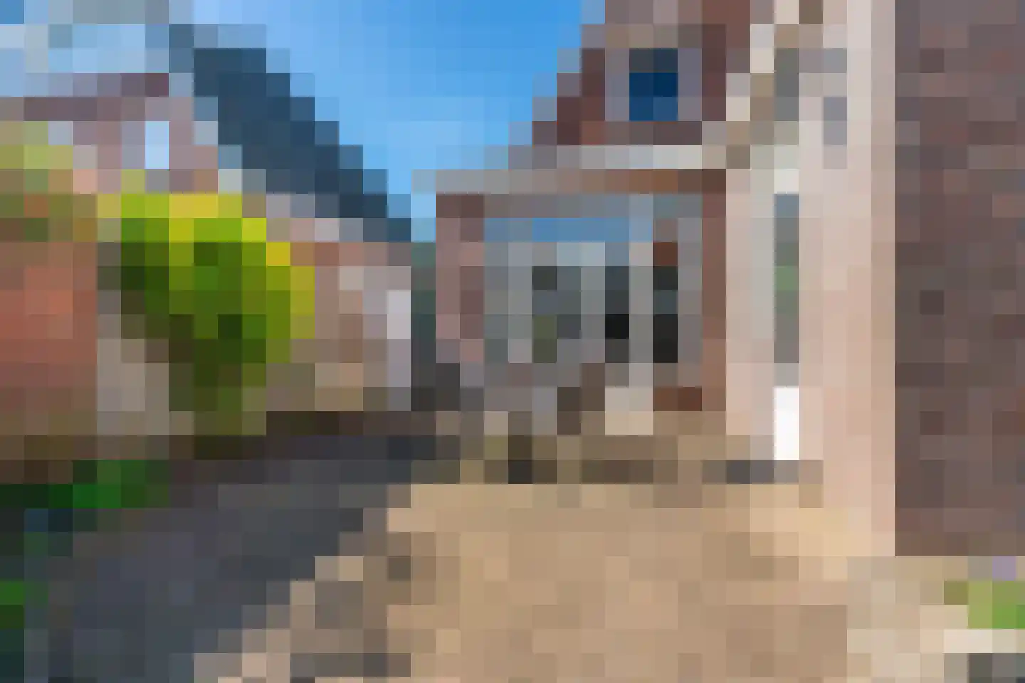 van Peltlaan 37 Nijmegen thumbnail 61