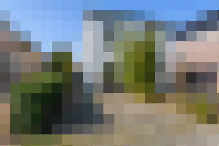 van Peltlaan 64 en Nijmegen