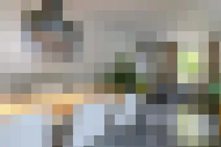van Peltlaan 64 Nijmegen thumbnail 12