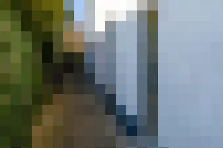van Peltlaan 64 Nijmegen thumbnail 25