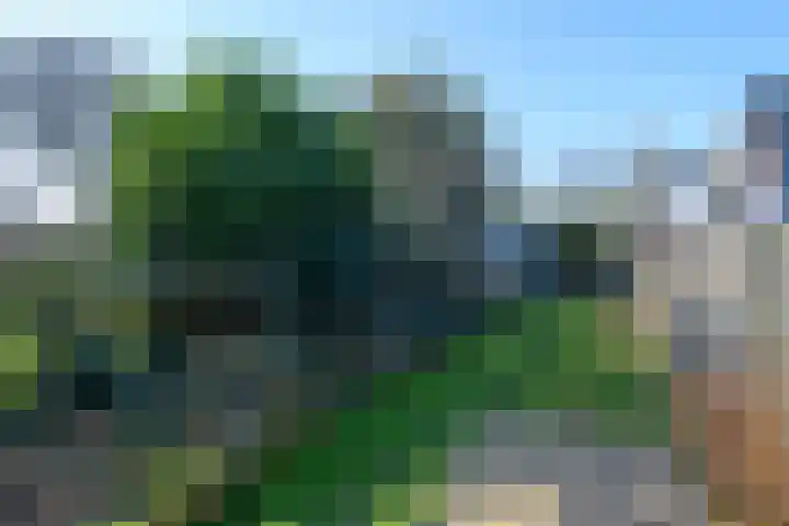 van Peltlaan 64 Nijmegen thumbnail 28