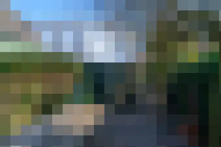 van Peltlaan 64 Nijmegen thumbnail 29