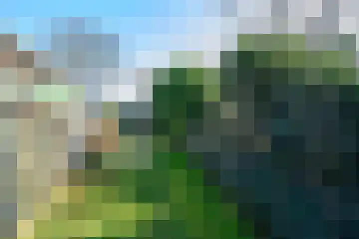van Peltlaan 64 Nijmegen thumbnail 31