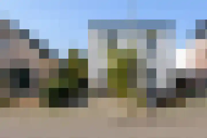 van Peltlaan 64 Nijmegen thumbnail 33