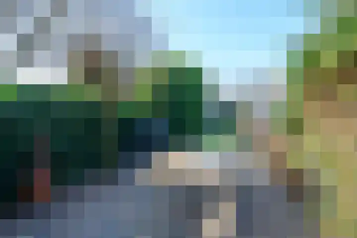 van Peltlaan 64 Nijmegen thumbnail 5