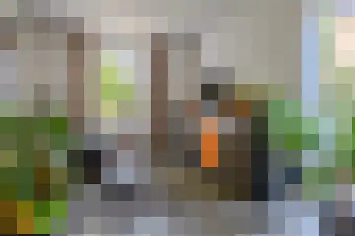 van Peltlaan 64 Nijmegen thumbnail 9