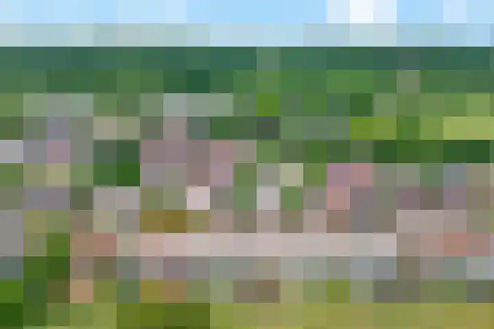 van Peltstraat 20 Valkenburg thumbnail 30