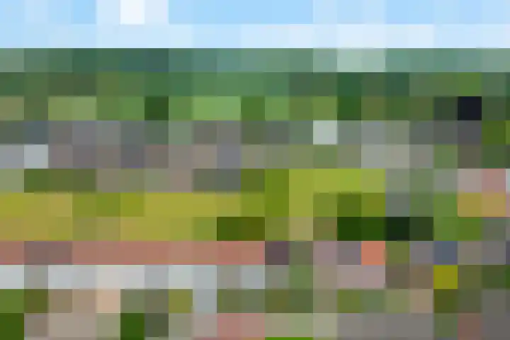van Peltstraat 20 Valkenburg thumbnail 5