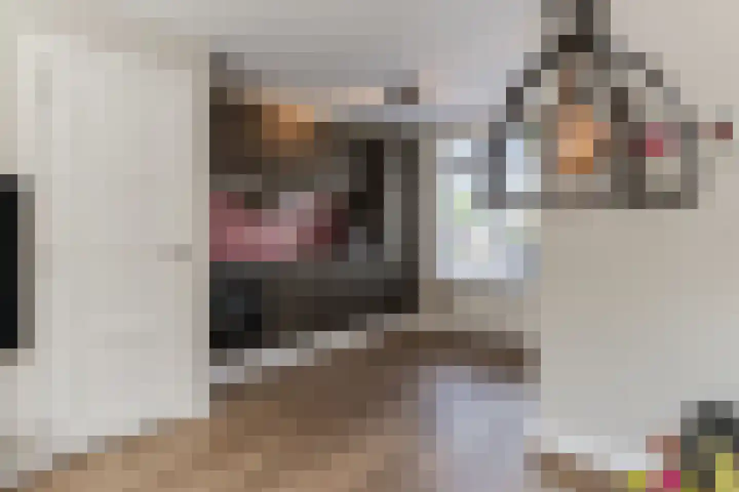 van Petersheimstraat 1 Gilze thumbnail 14