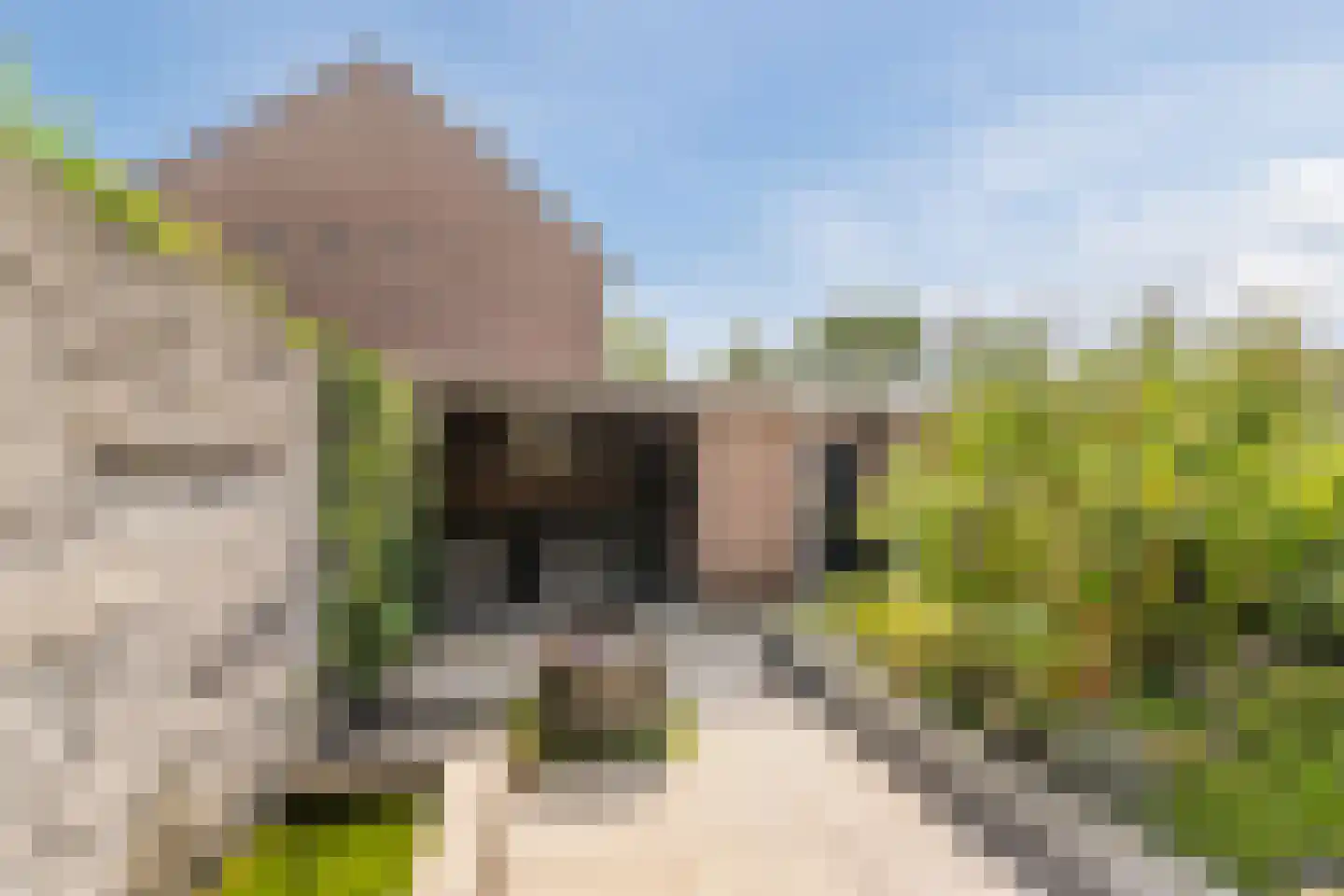 van Petersheimstraat 1 Gilze thumbnail 19