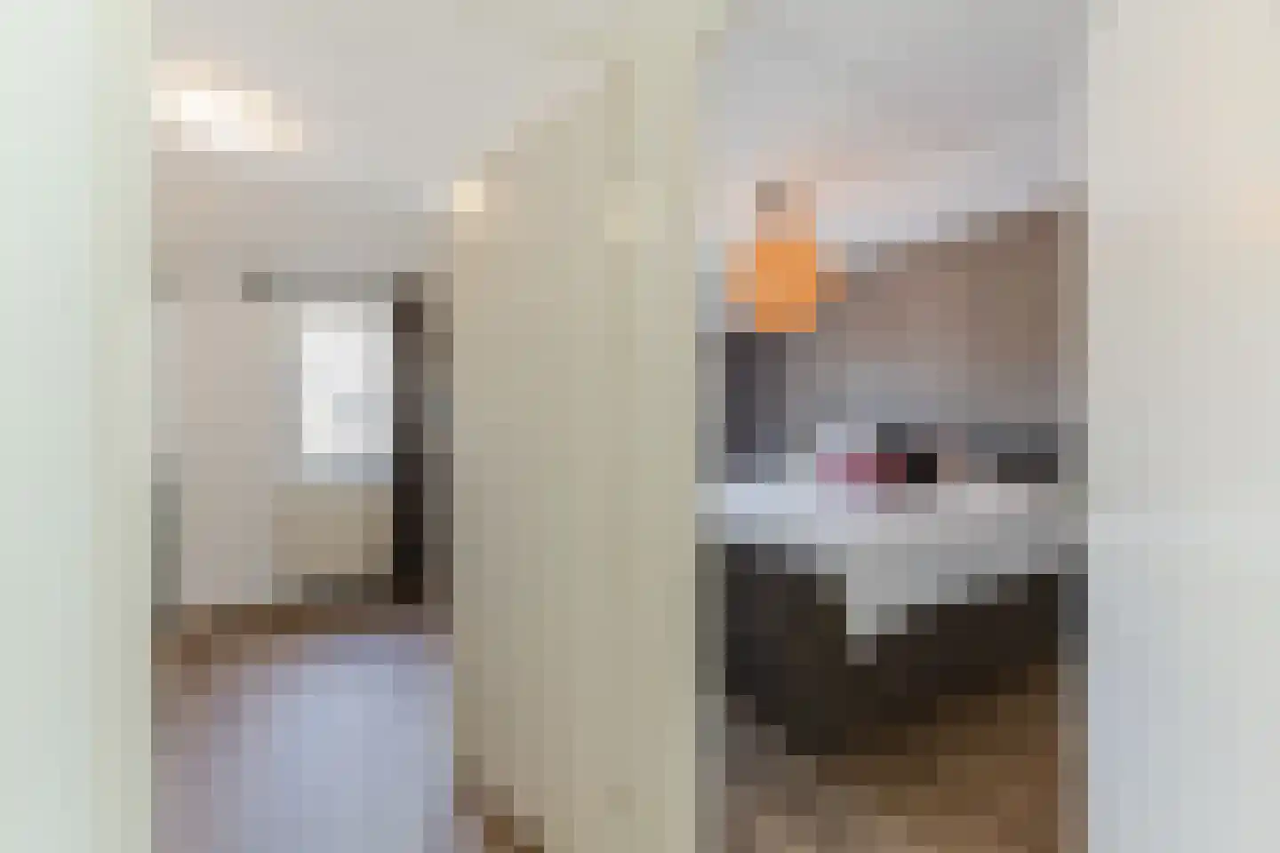 van Petersheimstraat 1 Gilze thumbnail 23
