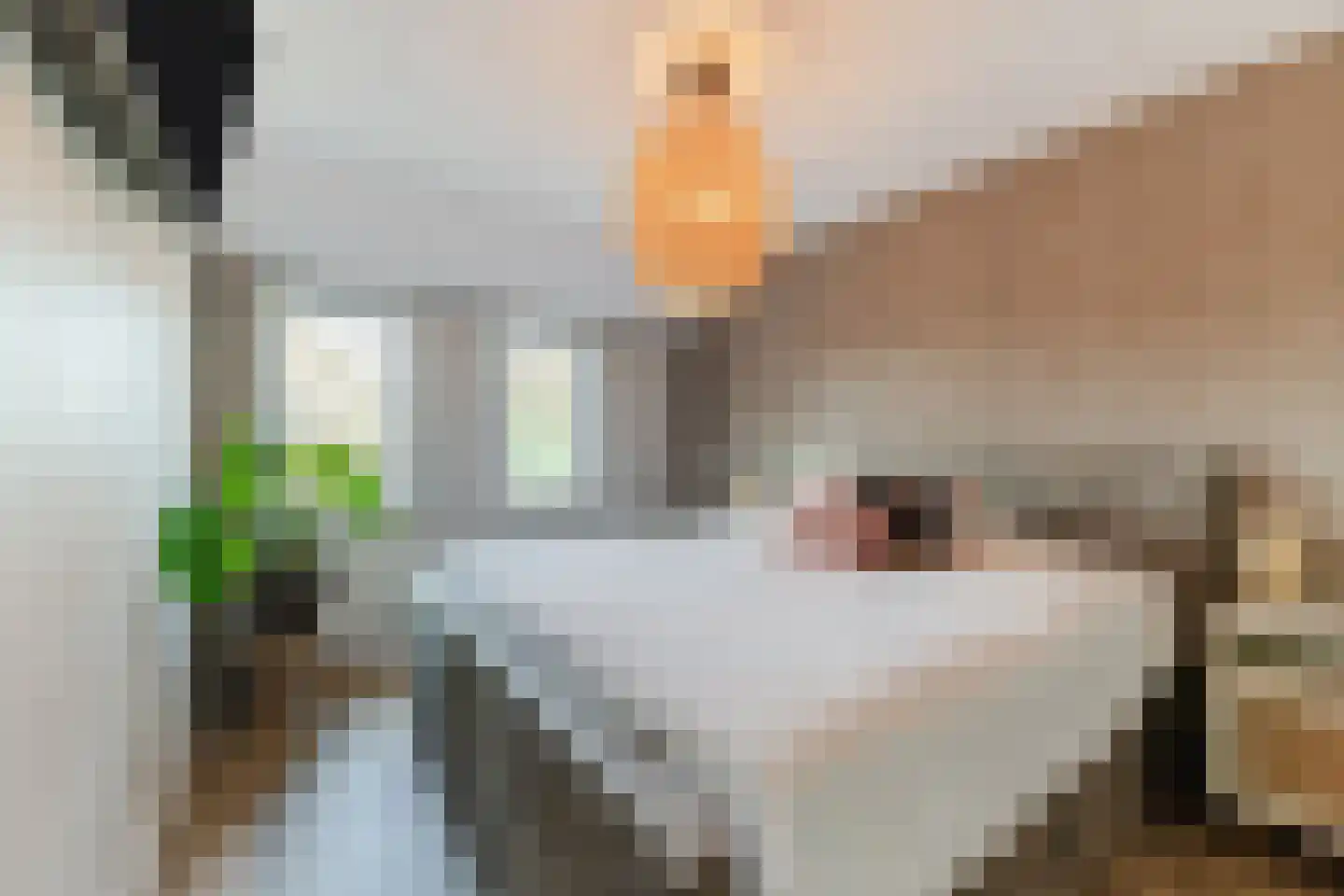 van Petersheimstraat 1 Gilze thumbnail 24