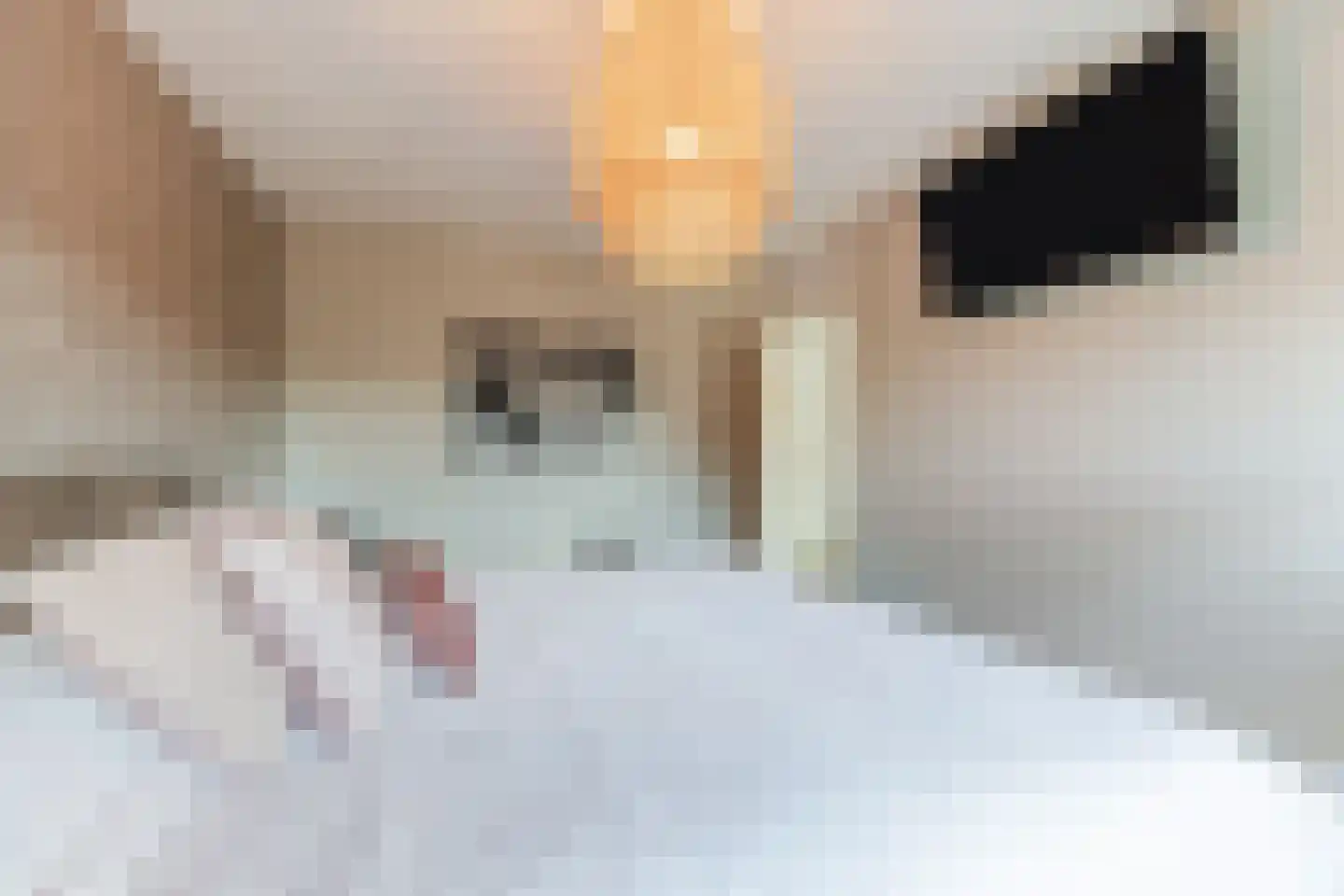 van Petersheimstraat 1 Gilze thumbnail 25