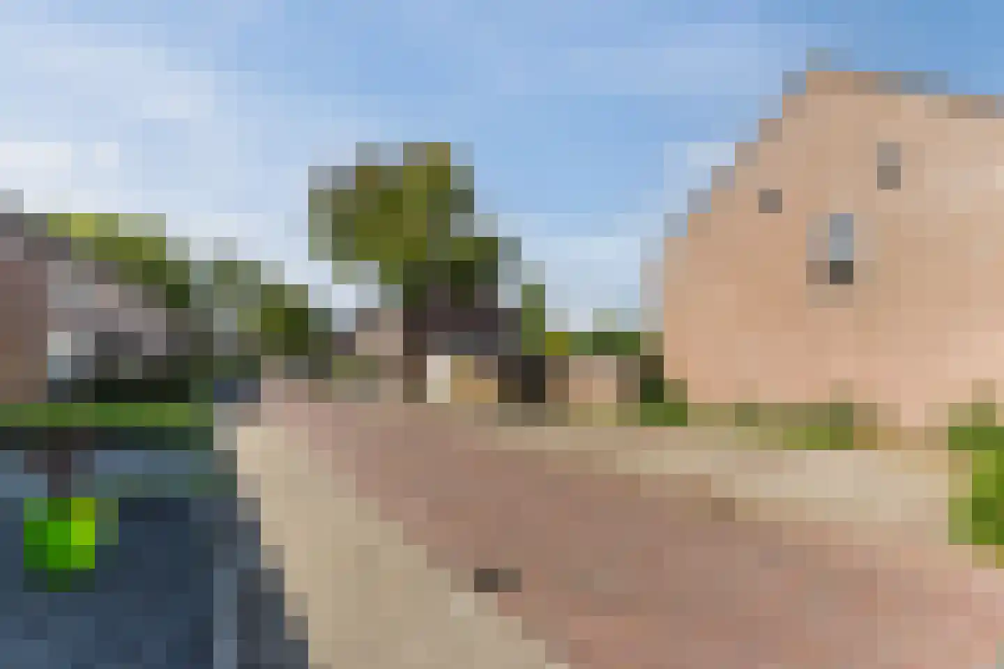 van Petersheimstraat 1 Gilze thumbnail 37