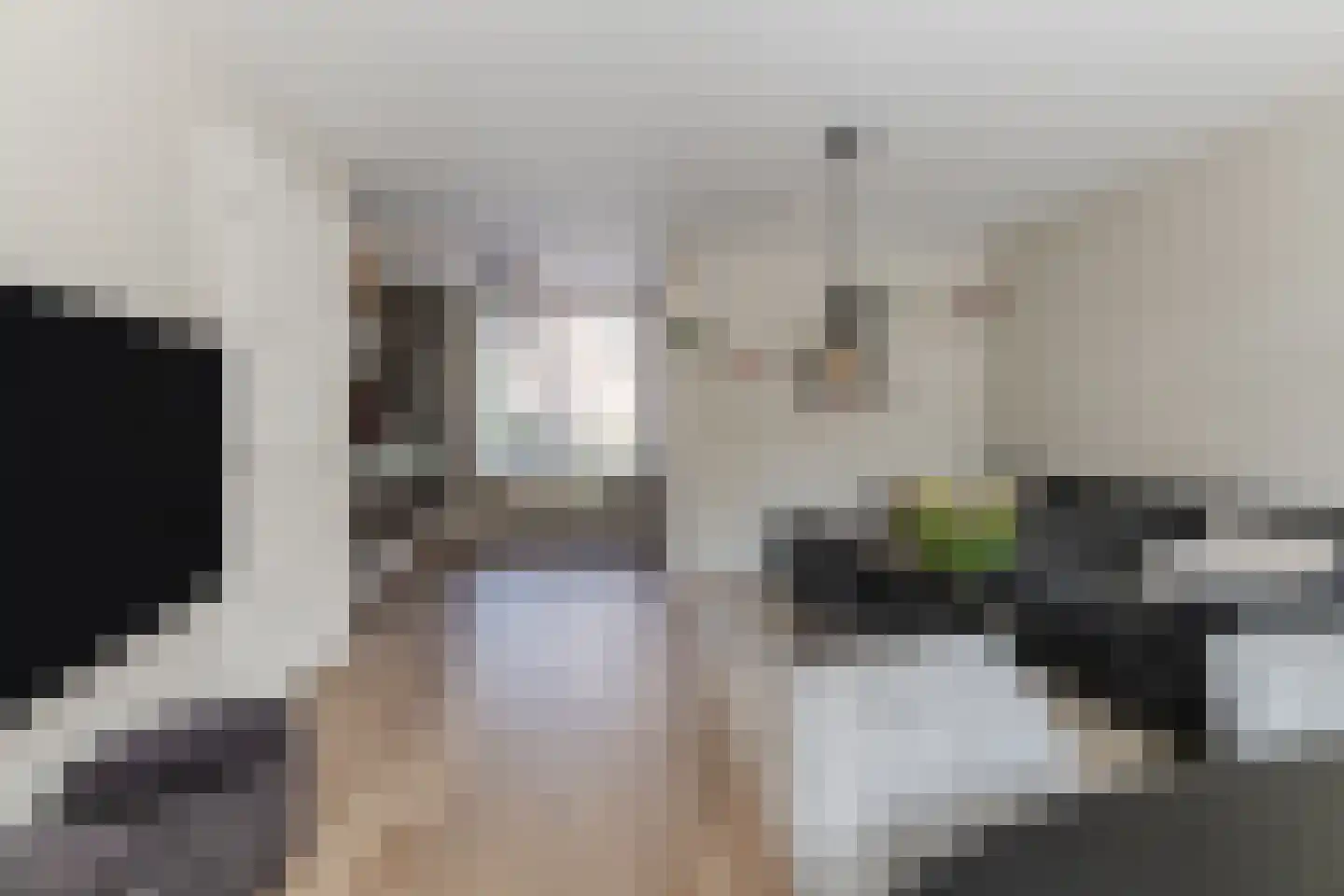 van Petersheimstraat 1 Gilze thumbnail 9