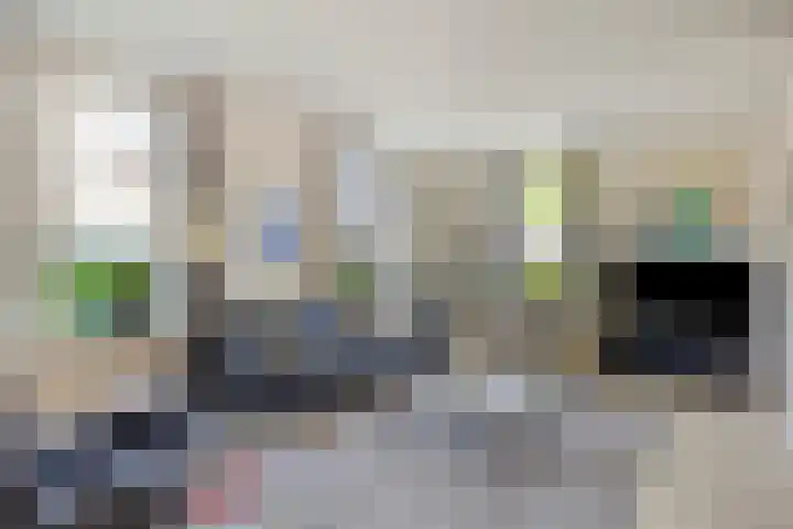 van Petershemstraat 6 Oirschot thumbnail 14