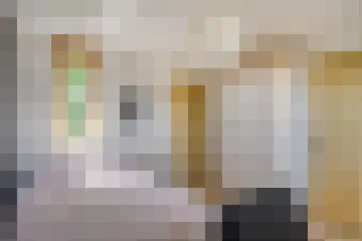 van Petershemstraat 6 Oirschot thumbnail 31