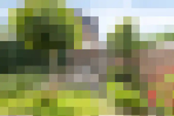 van Petershemstraat 6 Oirschot thumbnail 42