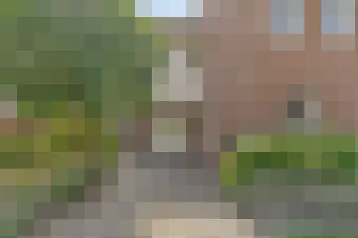 van Petershemstraat 6 Oirschot thumbnail 49