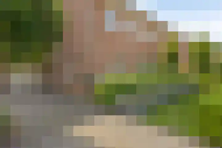 van Petershemstraat 6 Oirschot thumbnail 50