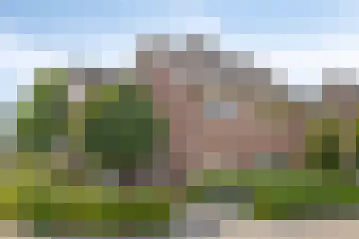 van Petershemstraat 6 Oirschot thumbnail 6