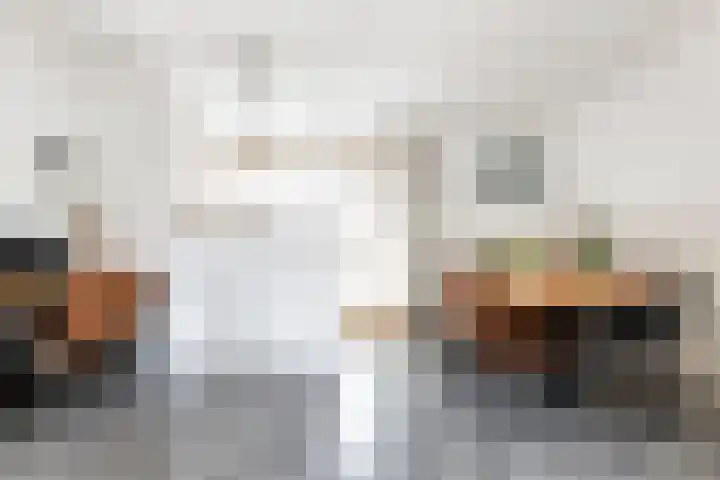 van Pijkerenlaan 63 Oldebroek thumbnail 11