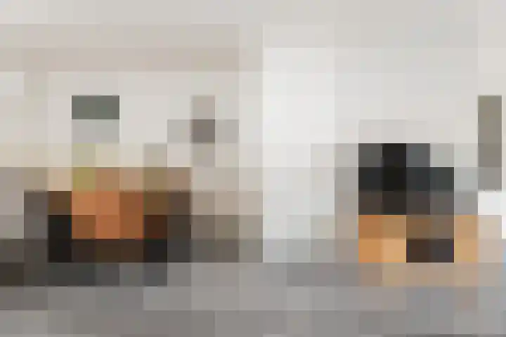 van Pijkerenlaan 63 Oldebroek thumbnail 12