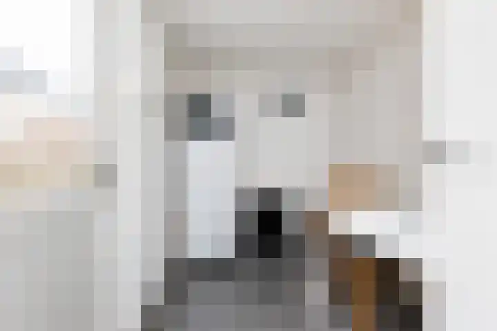van Pijkerenlaan 63 Oldebroek thumbnail 15