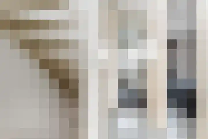 van Pijkerenlaan 63 Oldebroek thumbnail 17
