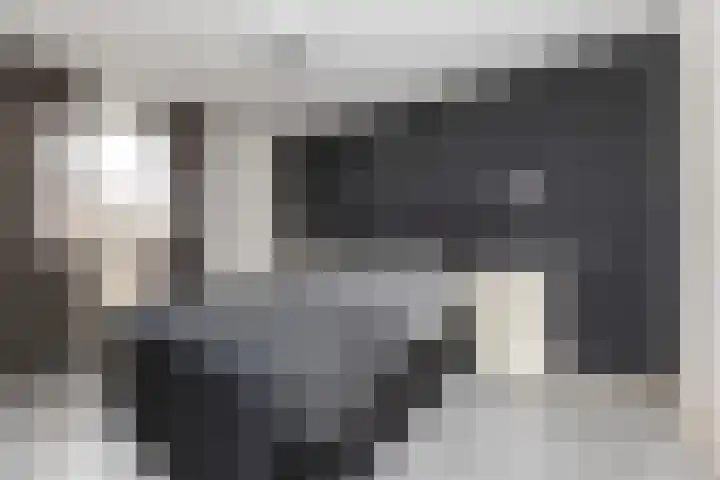 van Pijkerenlaan 63 Oldebroek thumbnail 18