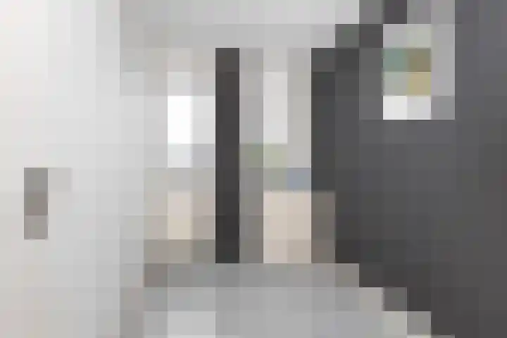 van Pijkerenlaan 63 Oldebroek thumbnail 20