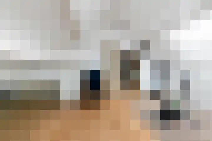 van Pijkerenlaan 63 Oldebroek thumbnail 23