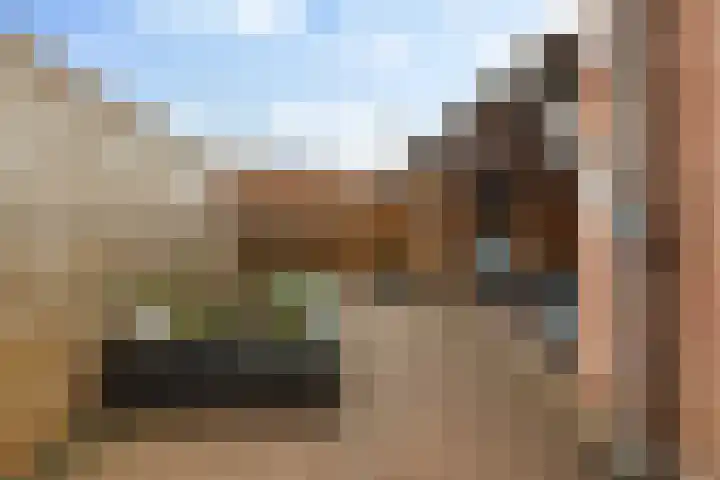 van Pijkerenlaan 63 Oldebroek thumbnail 27